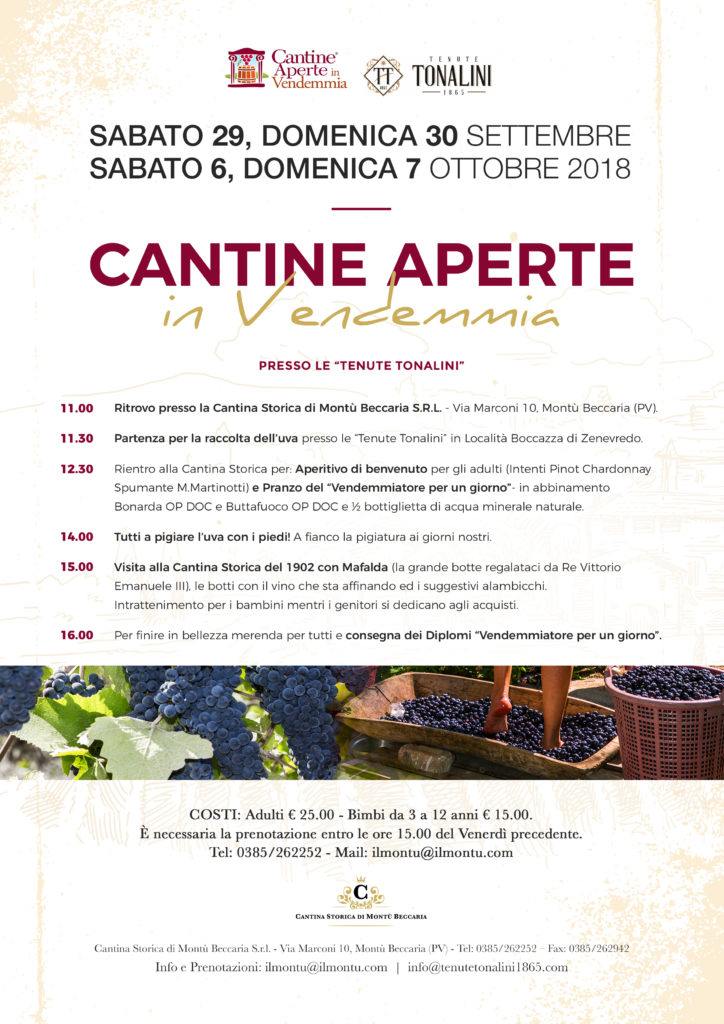 Cantine aperte in Vendemmia